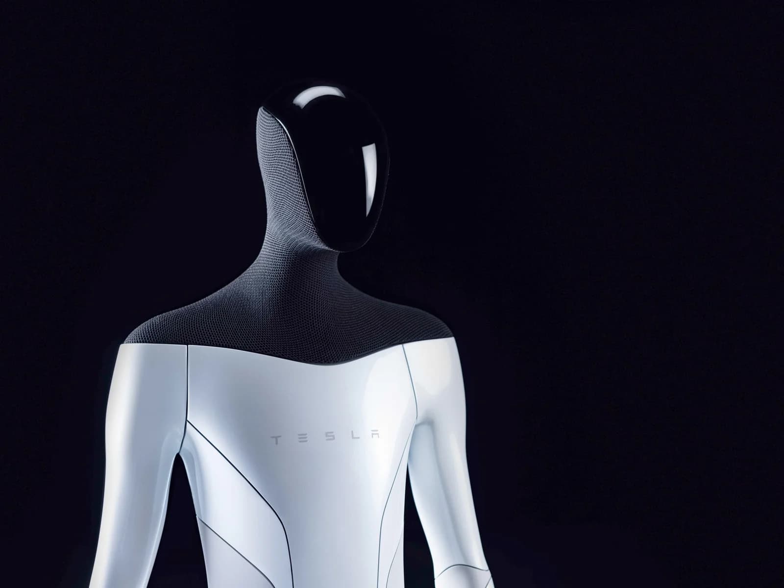 Elon Musk's top priority is the Tesla AI bot than making cars this year.