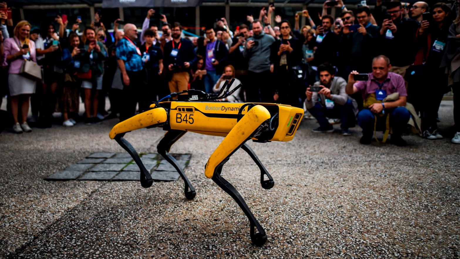 All about Spot, the Robot Dog.