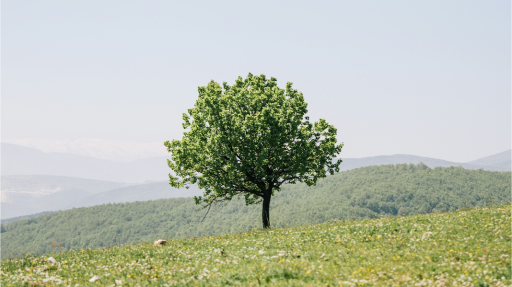 Private: I Built My Own Social Media — bc the Internet Is Broken